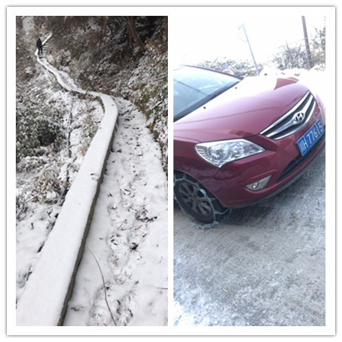 ��ѩ֮�·ܶ���Ϣ