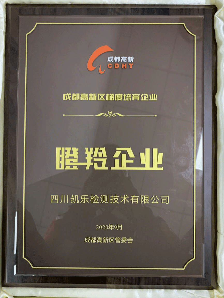 ��ϲѶ������ף���Ĵ����ּ�⼼�����޹�˾���ɶ���������ί����Ϊ��������ҵ����